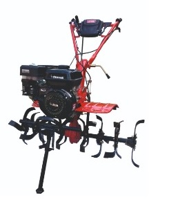 XYLEM SS 203