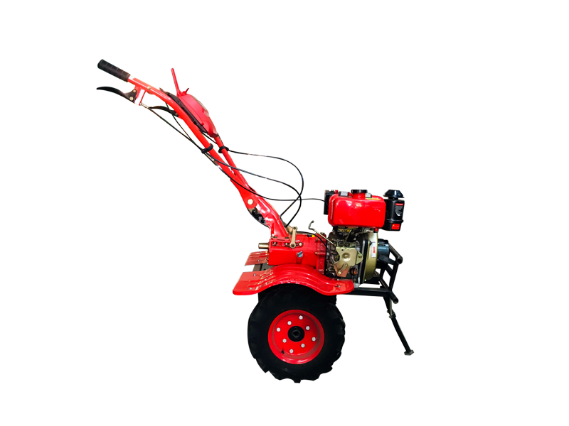 XYLEM SS 204