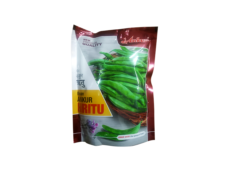 Bean 